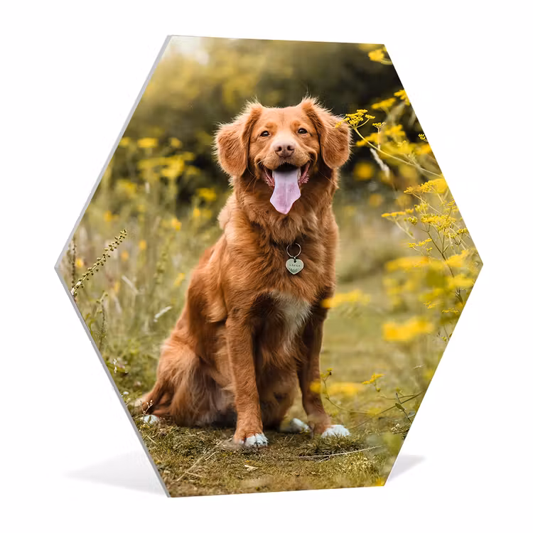 Hexagon — 3